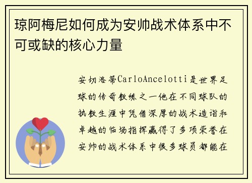 琼阿梅尼如何成为安帅战术体系中不可或缺的核心力量